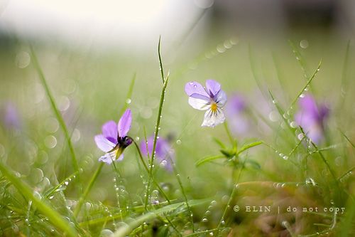 伤感意境个性空间欧美大图 给予一个深情的相拥,一切尽在不言中