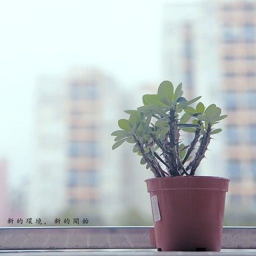 伤感意境个性空间欧美大图 给予一个深情的相拥,一切尽在不言中