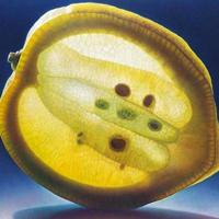 水果创意秀个性群头像 好看的微信群头像