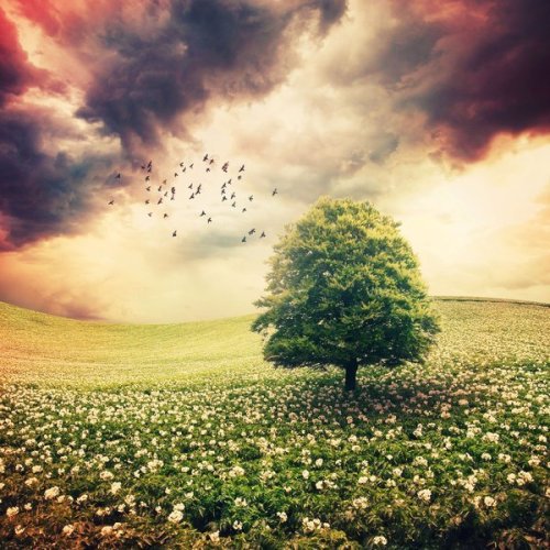 人是一瞬间变老的。