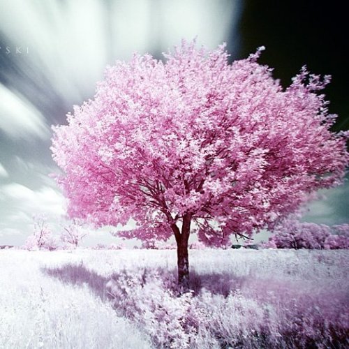 人是一瞬间变老的。