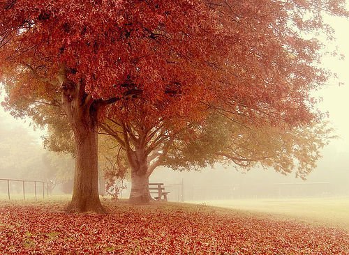 人是一瞬间变老的。