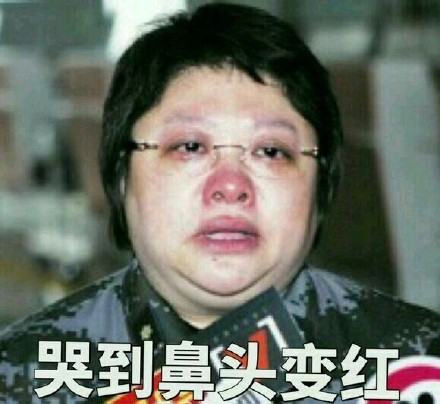 韩红听了都想打人表情包