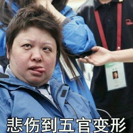 韩红听了都想打人表情包