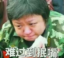 韩红听了都想打人表情包