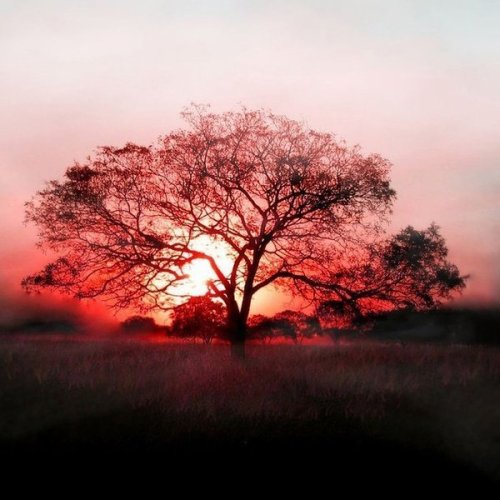 人是一瞬间变老的。