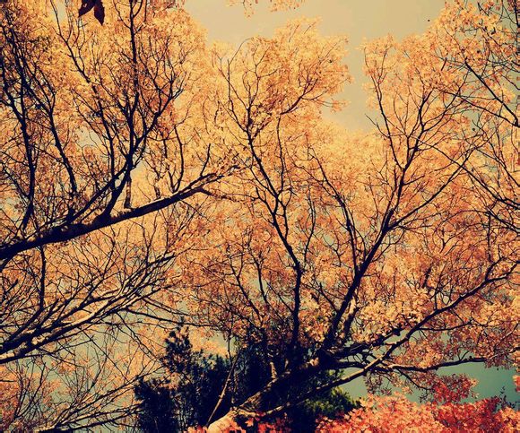 人是一瞬间变老的。