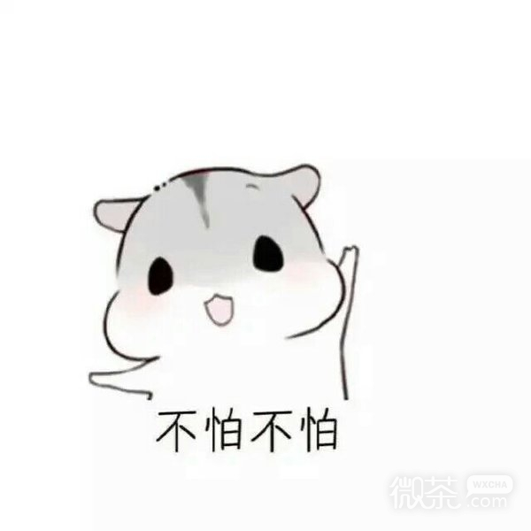 有我在，不怕不怕