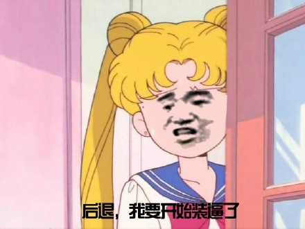 美少女战士表情包