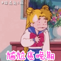 美少女战士表情包