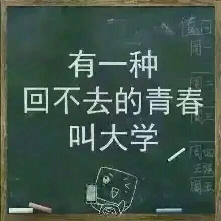 有一种青春叫学校