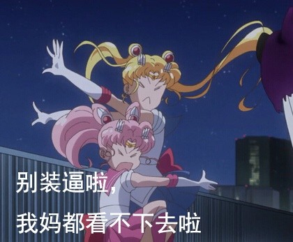 美少女战士表情包