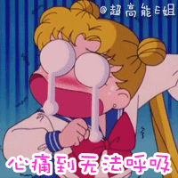 美少女战士表情包