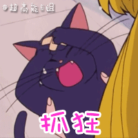 美少女战士表情包