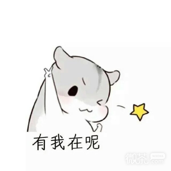有我在，不怕不怕