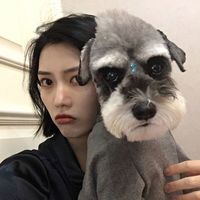 不同风格的女生微信头像最新版 有你最爱的那款吗