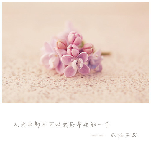 流动的旋律动人歌词签名图 我习惯一个人稳稳地走着陌生的道路