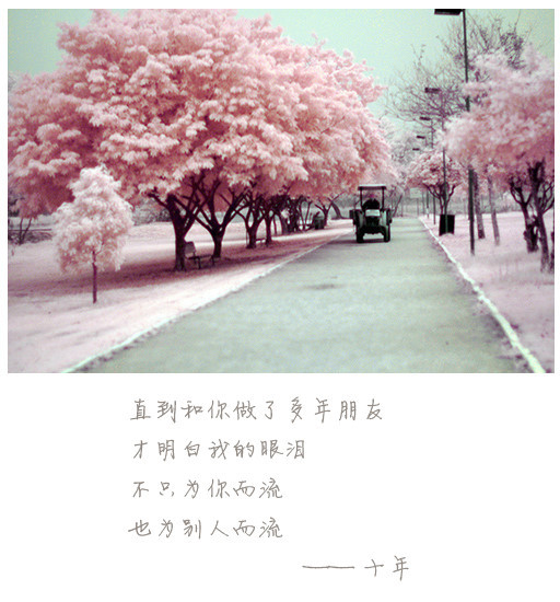 流动的旋律动人歌词签名图 我习惯一个人稳稳地走着陌生的道路