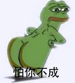 猥琐的青蛙大叔表情包