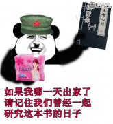 如何与傻X相处表情包