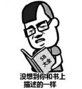 如何与傻X相处表情包