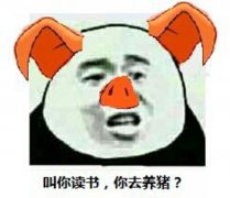 如何与傻X相处表情包