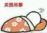 日常斗图表情包
