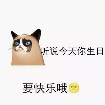 日常斗图表情包