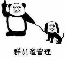 骚图大全第三期