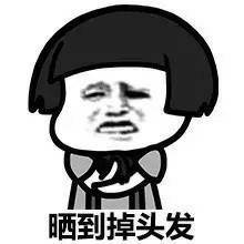 骚图大全第三期