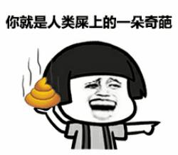 一言不合斗图第二期