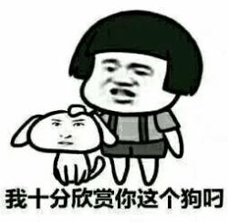 一言不合斗图第二期