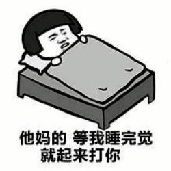 一言不合斗图第二期