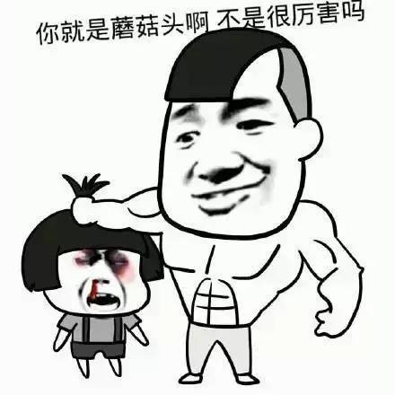 聊天专用表情包