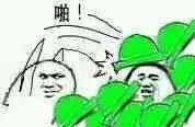 啪，绿帽子表情包