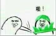 啪，绿帽子表情包