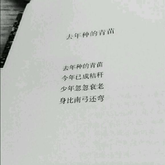 喜欢一人,是一次万次心跳呼吸