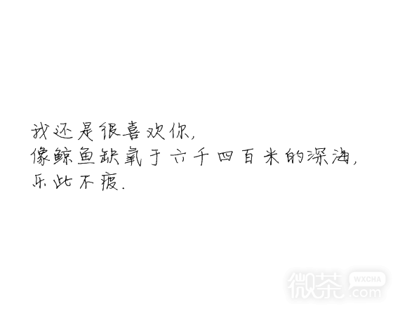 凌：我还是很喜欢你