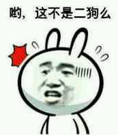 妈蛋小表情包第十五期