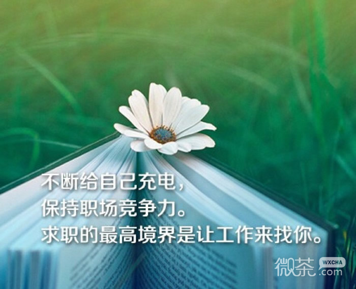 优美意境带字带花图片 拿爱当索求的筹码，终会失掉爱的后台