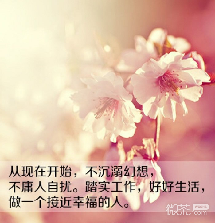 优美意境带字带花图片 拿爱当索求的筹码，终会失掉爱的后台