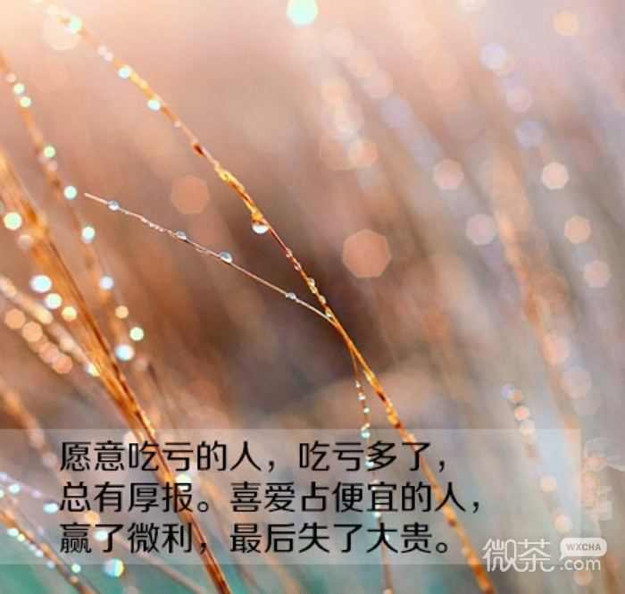优美意境带字带花图片 拿爱当索求的筹码，终会失掉爱的后台