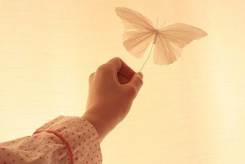 美丽蝴蝶非常可爱的空间图 耐心超强的我,绝对会爱够你三生三世