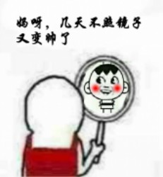 照镜子表情包