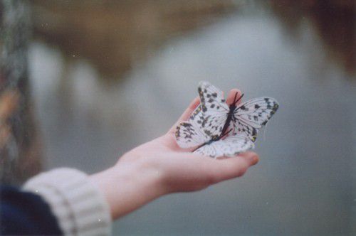 美丽蝴蝶非常可爱的空间图 耐心超强的我,绝对会爱够你三生三世