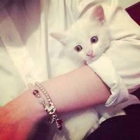 情侣个性头像大全 爱是突然停电你不是去找灯而是去找他