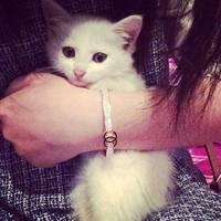 情侣个性头像大全 爱是突然停电你不是去找灯而是去找他