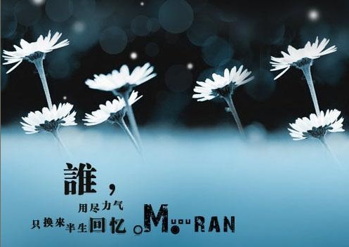 缤纷色彩情感创意签名图片:我是一條無法呼吸的魚