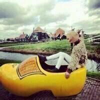 情侣个性头像大全 爱是突然停电你不是去找灯而是去找他