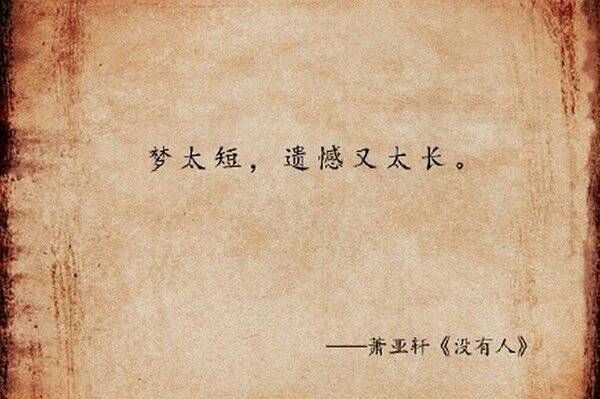 歌中的词